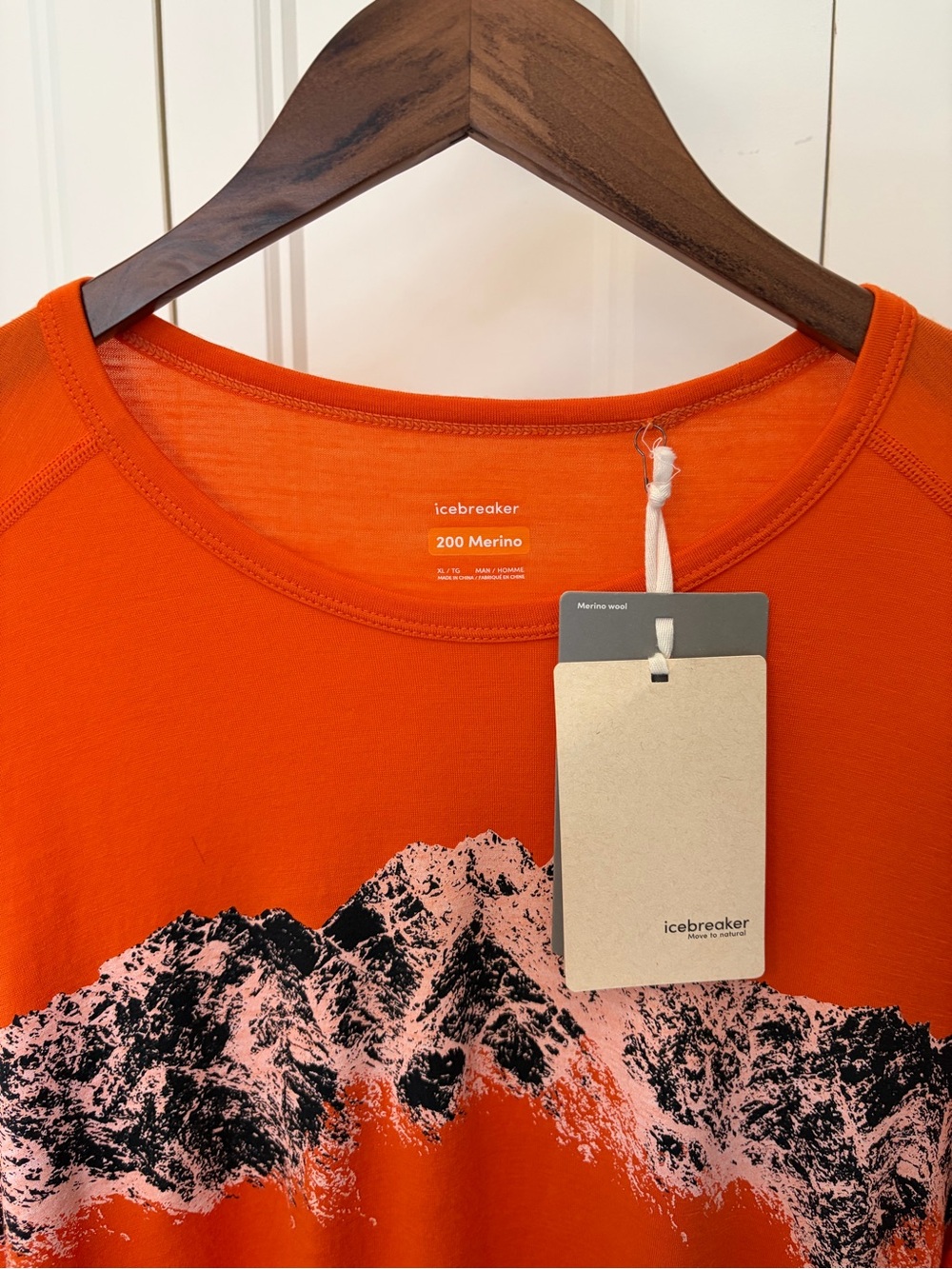 Icebreaker 200 Merino Orange Mountain Graphic Tee